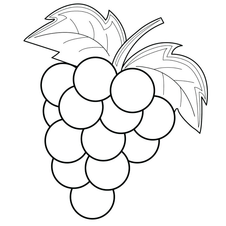 728x728 Grapes Coloring Page Grapes Coloring Page With Wallpapers Pages