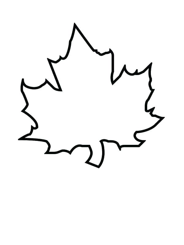 600x800 Here Are Grape Coloring Page Images Pictures Of Grape Leaves Grape