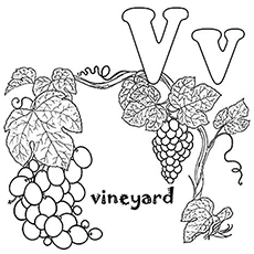 230x230 Top 10 Free Printable Letter V Coloring Pages Online