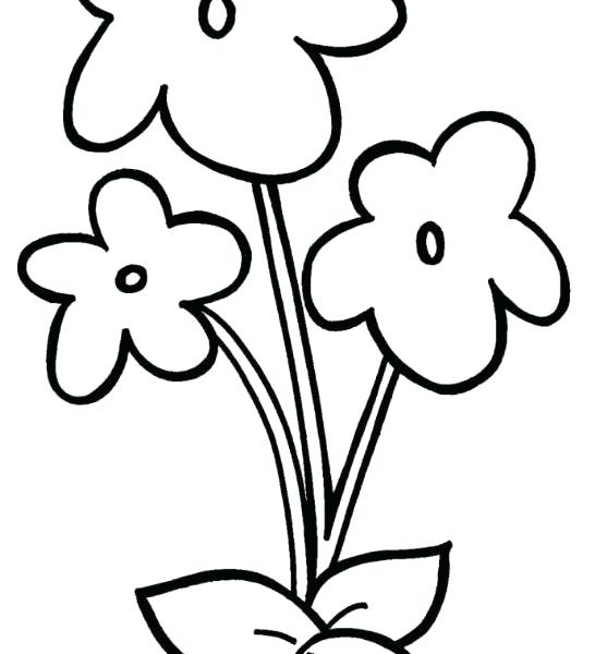 546x600 Coloring A Picture Easy Coloring Pages For Girls Easy Violet