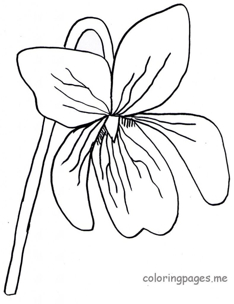 789x1024 Coloring Page Violet Flower Coloring Page Fun