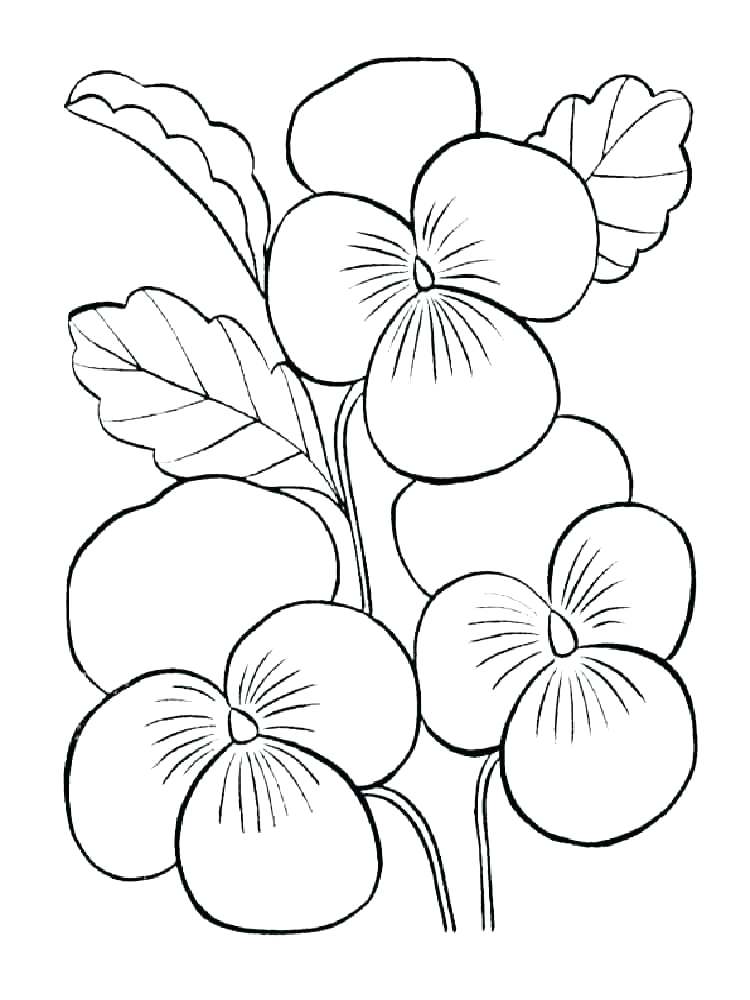750x1000 Hibiscus Coloring Page Hibiscus Flower Coloring Pages Violet