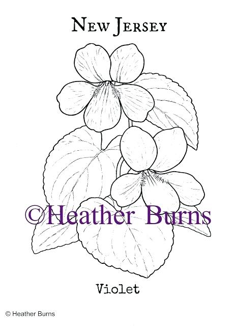 464x640 Violet Flower Coloring Page New Jersey State Flower Violet Purple