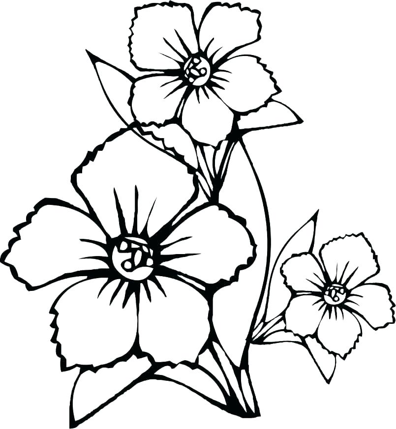 805x873 Violet Flowers Set Of Outline Flowers Stock Vector Download Violet