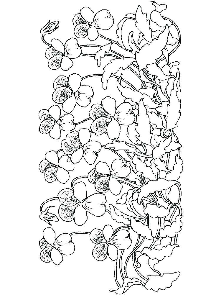 750x1000 Violet Coloring Page