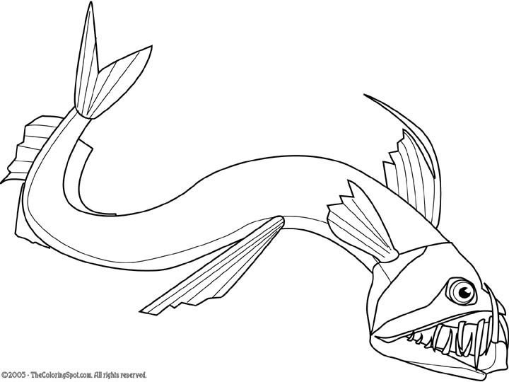 720x540 Angler Fish Coloring Page
