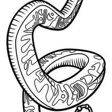 220x220 Master Viper Coloring Pages