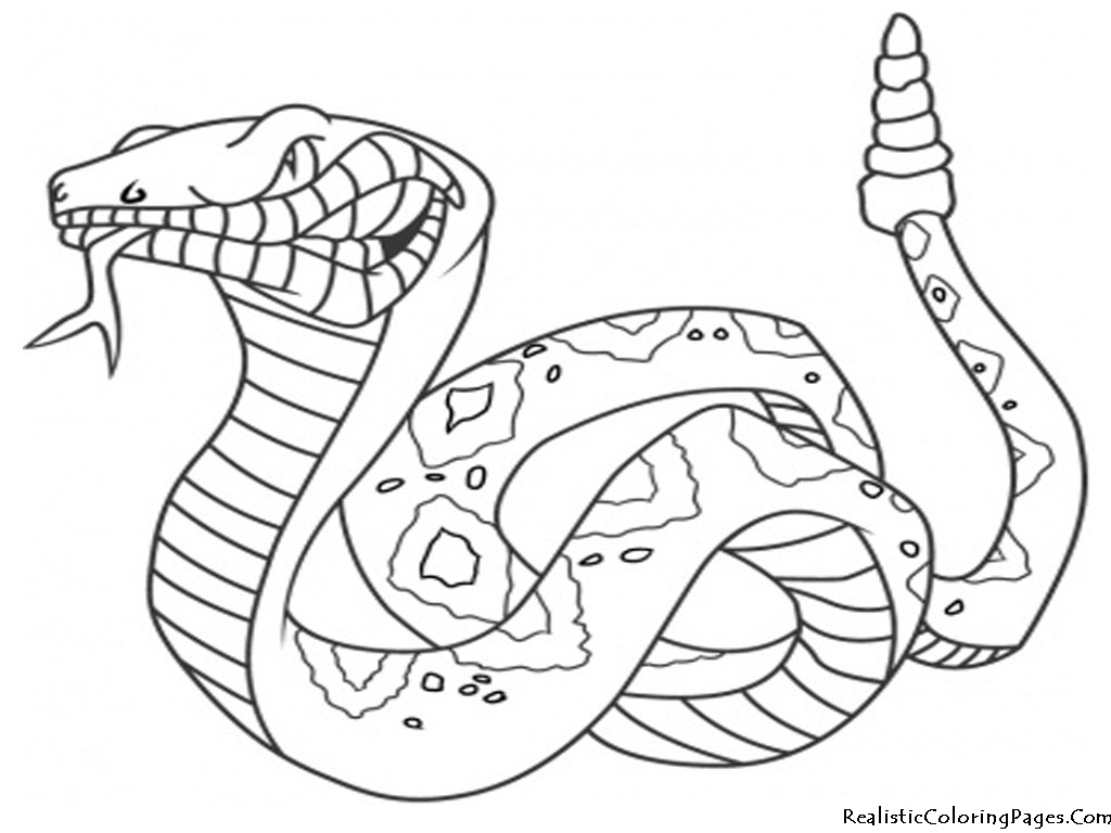 1024x768 Trendy Inspiration Ideas Rattlesnake Coloring Pages Of Printable