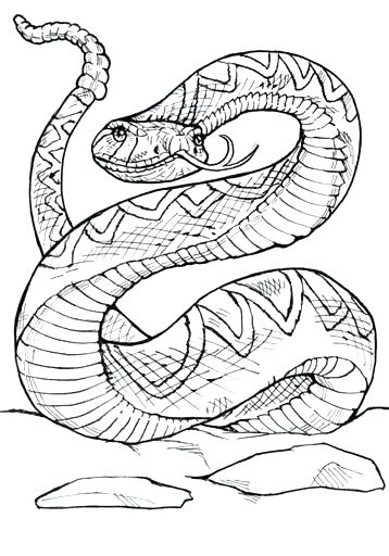 358x512 Viper Snake Coloring Pages Viper Coloring Pages Awesome Of Viper