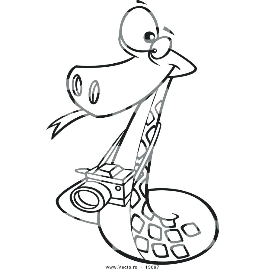 878x895 Coloring Pages 97 Awesome Snake Rattlesnake Sheets Free Coloring