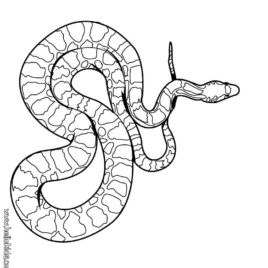 268x268 Coloring Pages Beach Kids Drawing And Coloring Pages