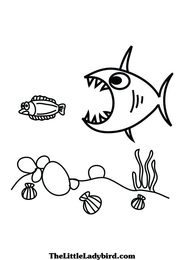 640x905 Colouring Pages Of Anglerfish Angler Fish Coloring Page Finding