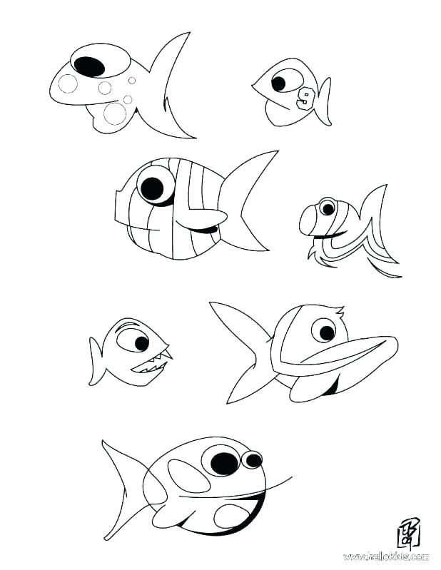 618x799 Electric Eel Color Eel Coloring Page Eel Coloring Pages Eel