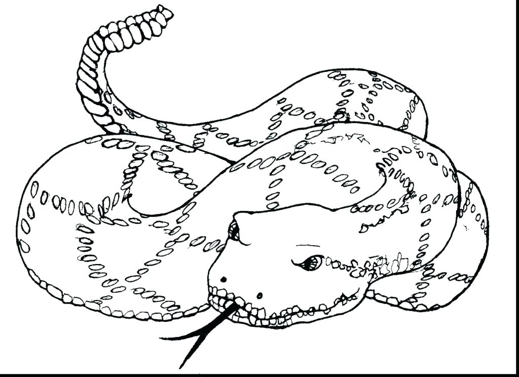 1024x744 Rattlesnake Coloring Page Rattlesnake Coloring Page Rattlesnake