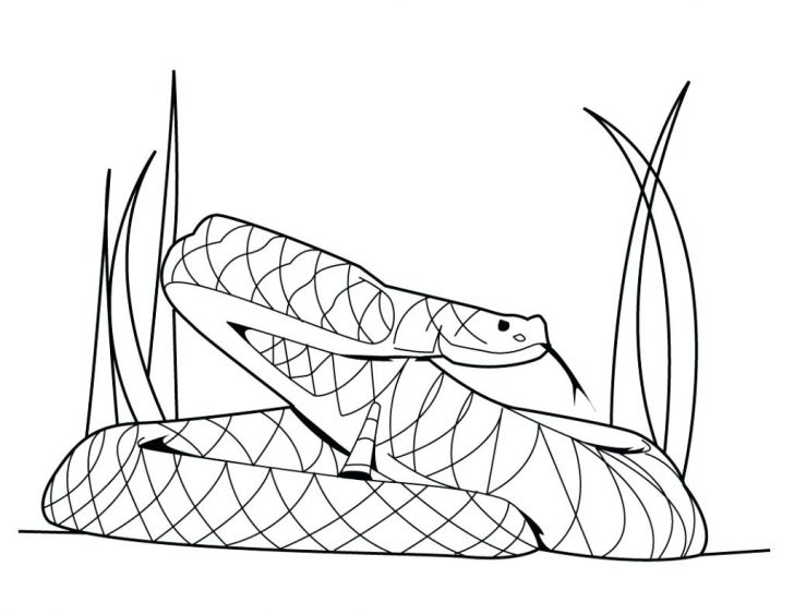 728x563 Coloring Pages For Adults Online Printable Spring 7 Drawing