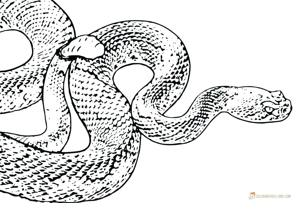 1024x696 Coloring Pages Of Snakes Coloring Pages Of Snakes Together