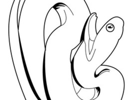 440x330 31 Black Mamba Coloring Pages, Top 25 Free Printable Snake