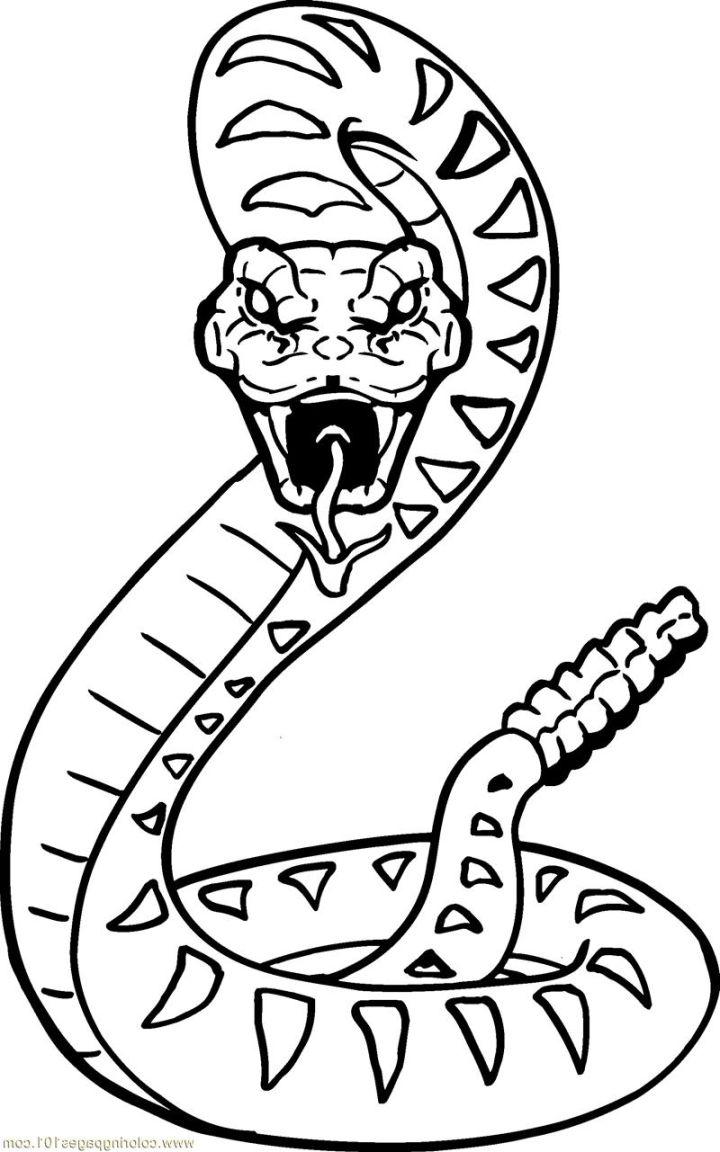 720x1152 Simple Pictures Of Snakes To Color Black Viper Snake Tattoo Design