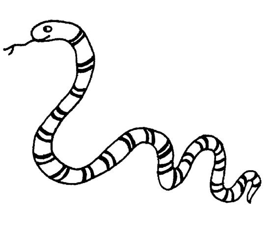 554x502 Snake Coloring Pages (13) Coloring Kids
