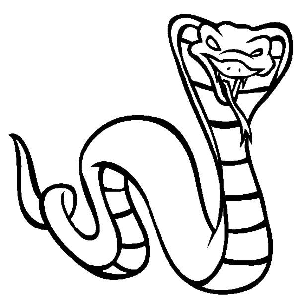 600x612 40 Awesome Viper Snake Coloring Page Coloring Pages