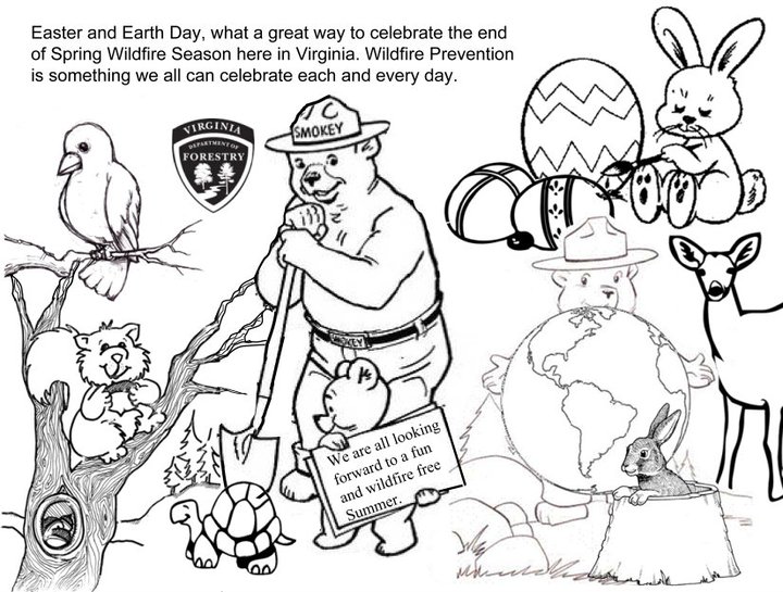 720x545 Virginia Wildfire Information And Prevention Smokey Bear Coloring