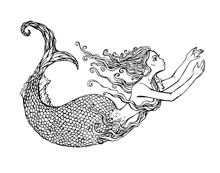 736x578 55 Best Adult Coloring Bookpages Images On Coloring