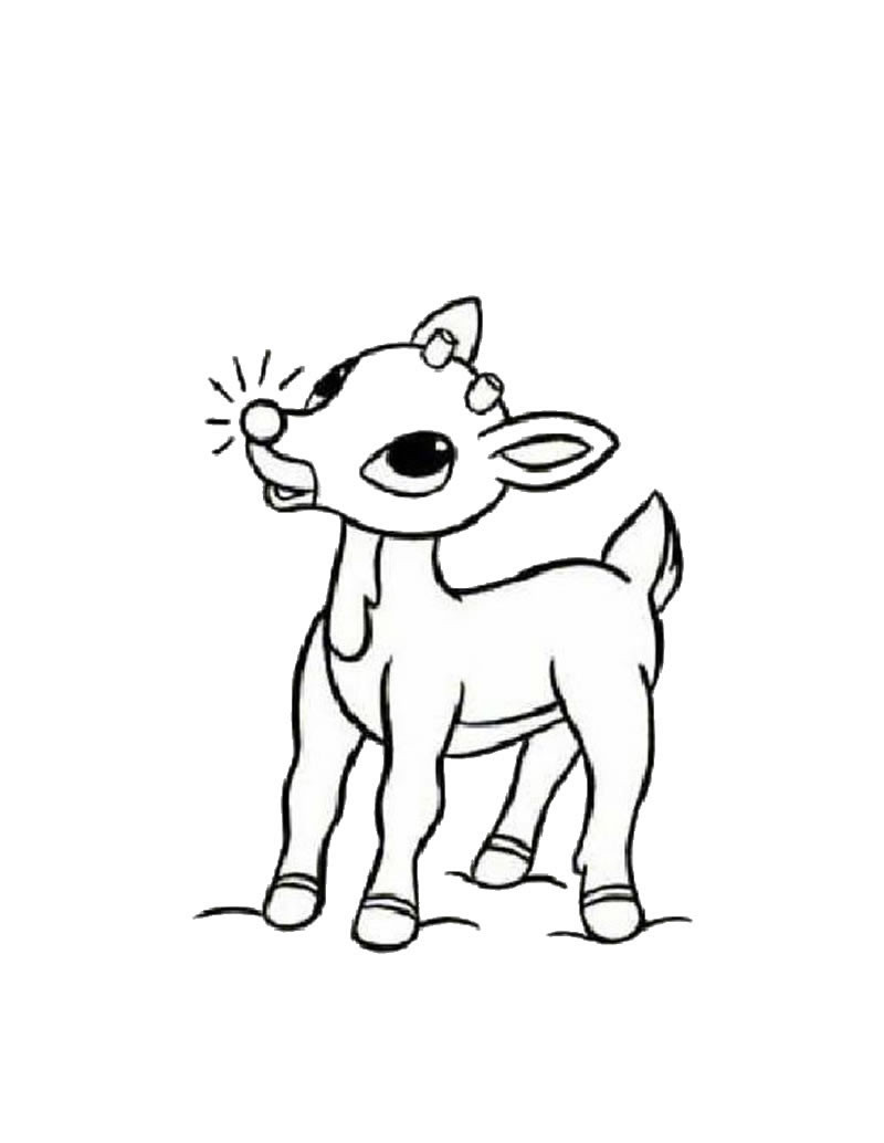 800x1034 Rudolph The Red Nosed Reindeer Coloring Page Book Pages