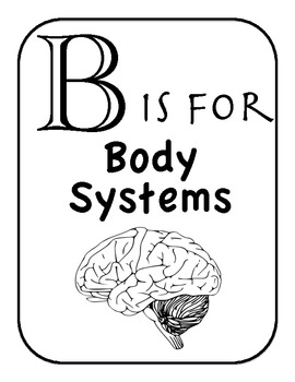 270x350 B Is For Body Systems Alphabet And Vocabulary Coloring Pages By