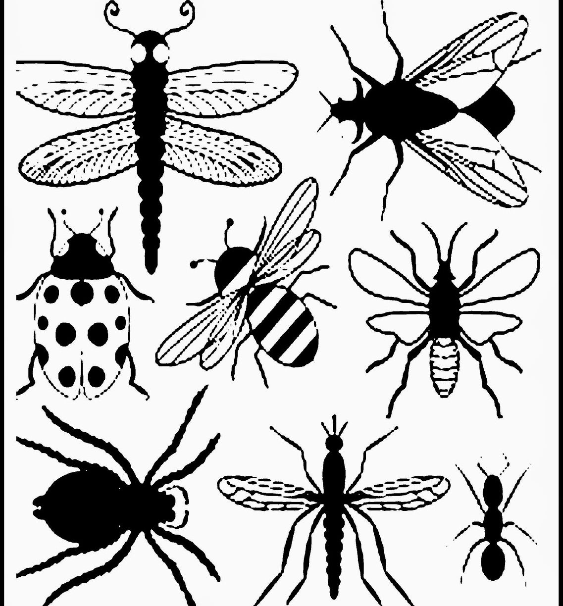 1137x1224 Printable Insect Coloring Page For Pictures With Kidsetle Pages Vw