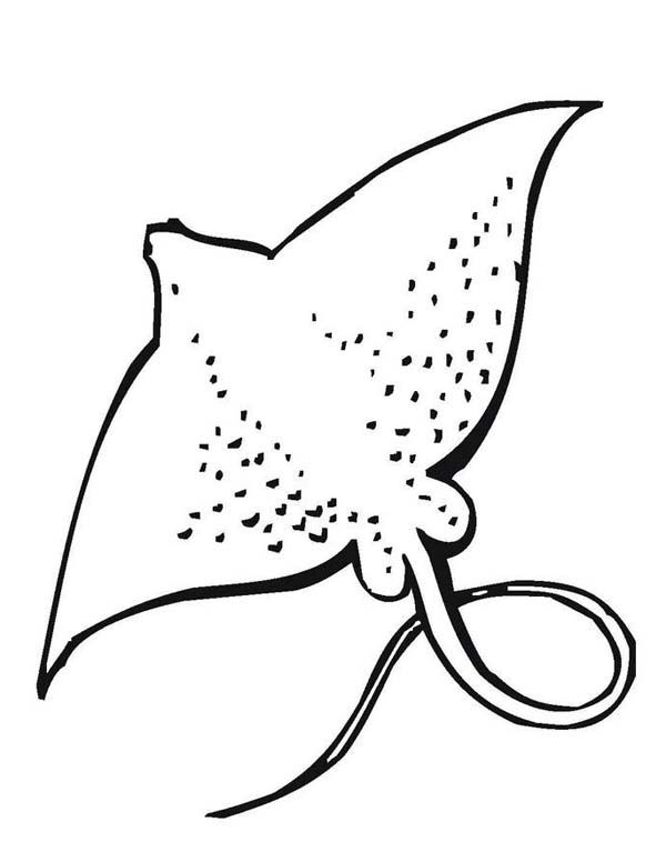 600x776 Dolphins Jumping Out Of Water Kids Coloring Book. Printable Sea