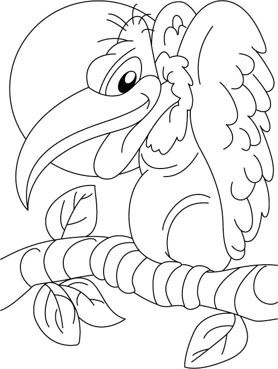 558x740 Turkey Vulture Coloring Pages Kids Coloring March
