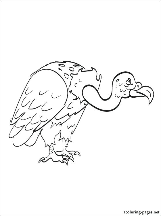 560x750 Vulture Coloring Pages Vulture Coloring Page King Vulture Coloring