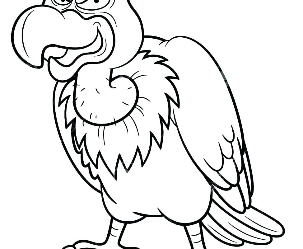 974x800 Vulture Coloring Pages