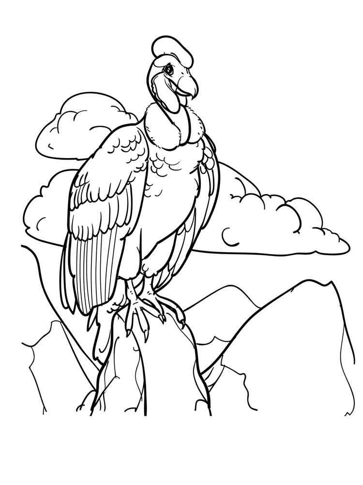 750x1000 Vulture Coloring Pages. Download And Print Vulture Coloring Pages