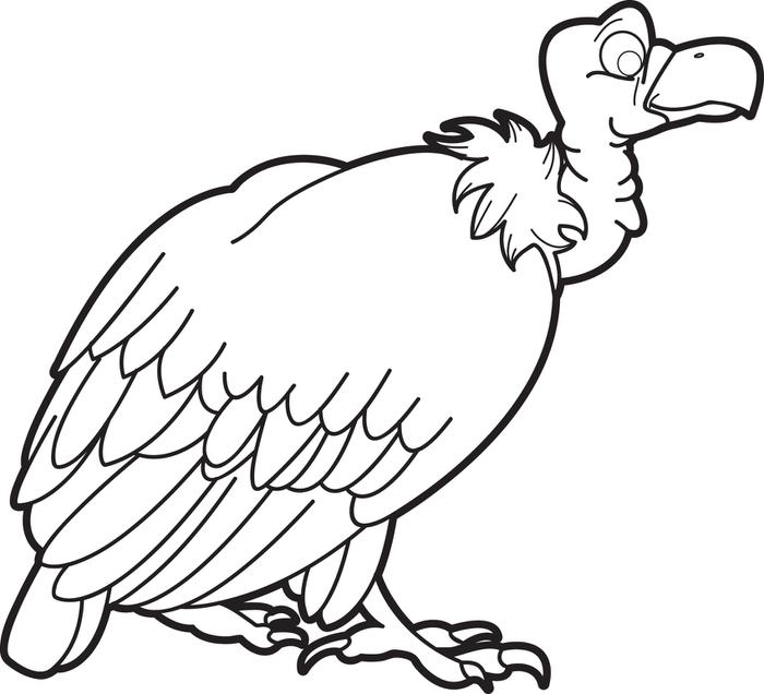 700x636 Free Printable Vulture Coloring Page For Kids With Justinhubbard