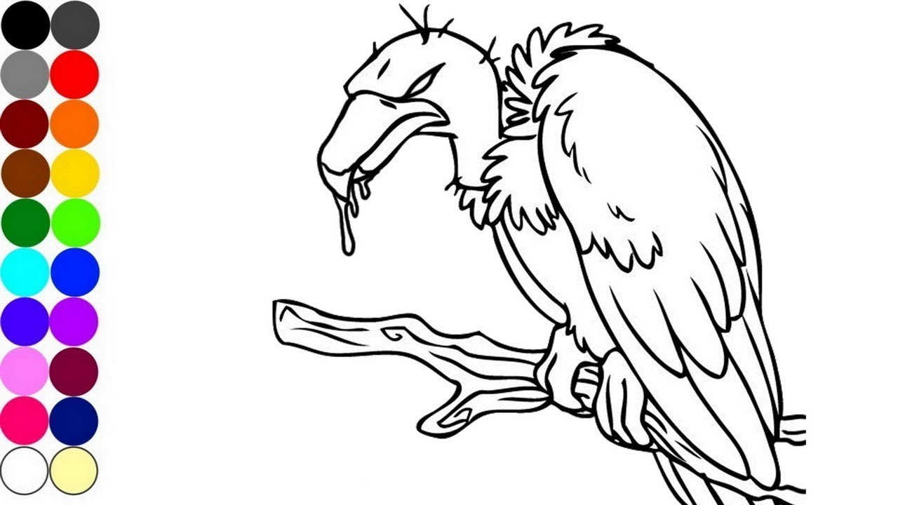 1280x720 How To Draw And Coloring A Vulture Animal Coloring Pages Baby