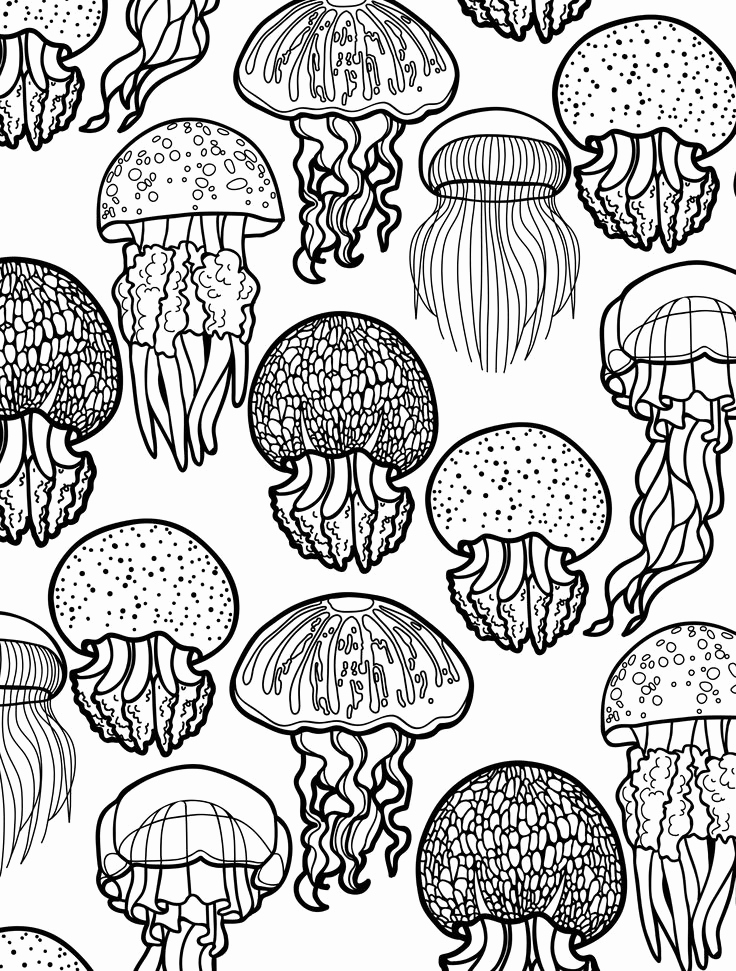 736x971 48 Best Free Printables Coloring Images On Vw Beetle