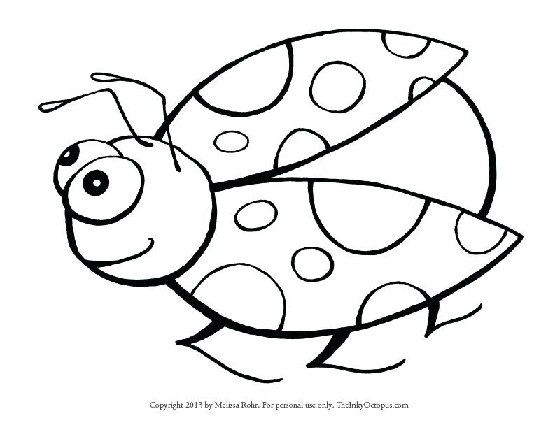 800x618 Bug Coloring Page Lady Bug Coloring Sheet Free Printable Vw Bug