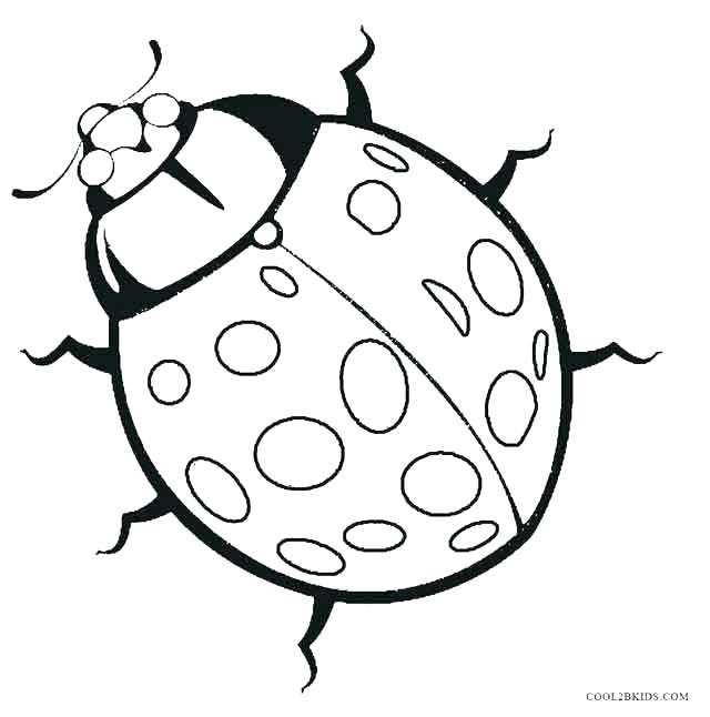 640x646 Bug Coloring Page Bug Coloring Page Realistic Ladybug Coloring