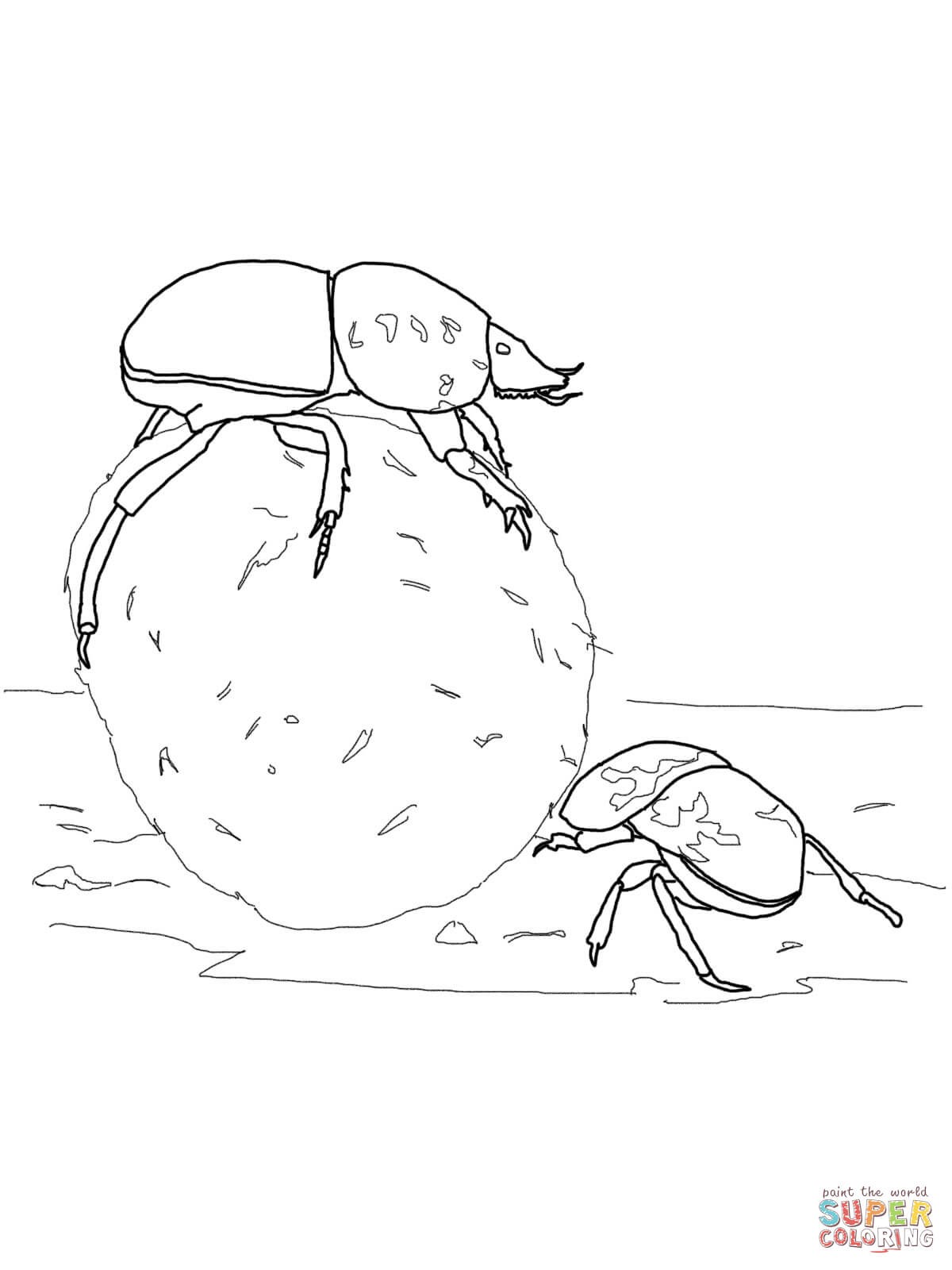 1200x1600 Vw Beetle Coloring Pages Unique High Quality Printable Elderberry