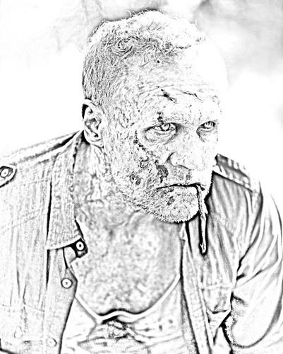 401x500 The Walking Dead Images The Walking Dead