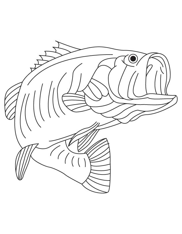 630x810 Freshwater Fish Coloring Pages Freshwater Fish Coloring Pages Full