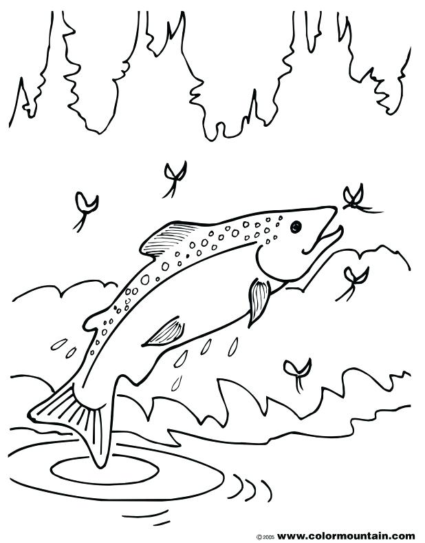 618x788 Salmon Coloring Page Extraordinary Ideas Pike Animal Coloring