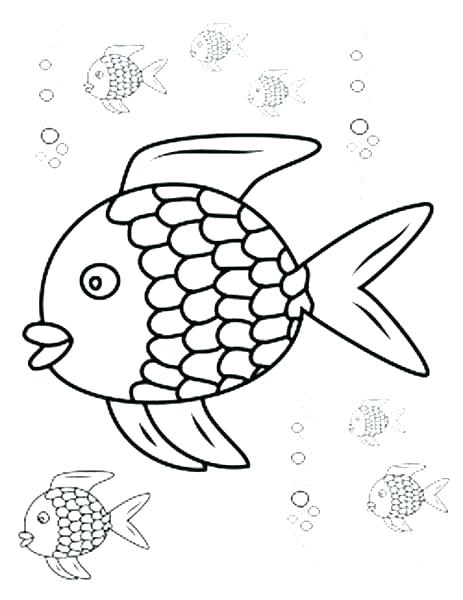 463x600 Walleye Coloring Page Free Walleye Vector Walleye Fish Coloring