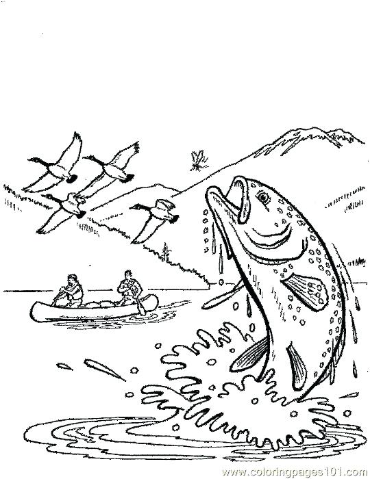 540x700 Walleye Coloring Page Perfect Fishing Coloring Pages Walleye Fish