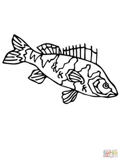 236x314 Walleye Fish Coloring Page Jax Walleye Fishing