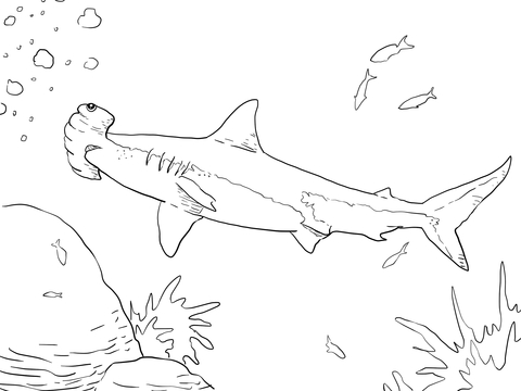 480x360 Walleye Fish Coloring Page