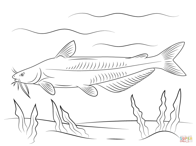 765x570 Blue Catfish Coloring Page Free Printable Coloring Pages 765x570