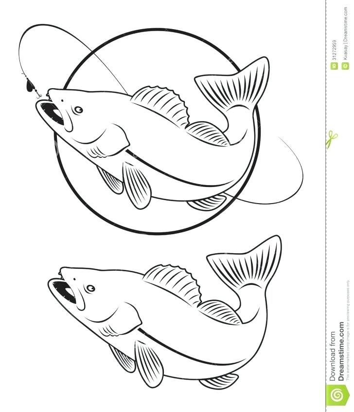 728x846 Walleye Coloring Page