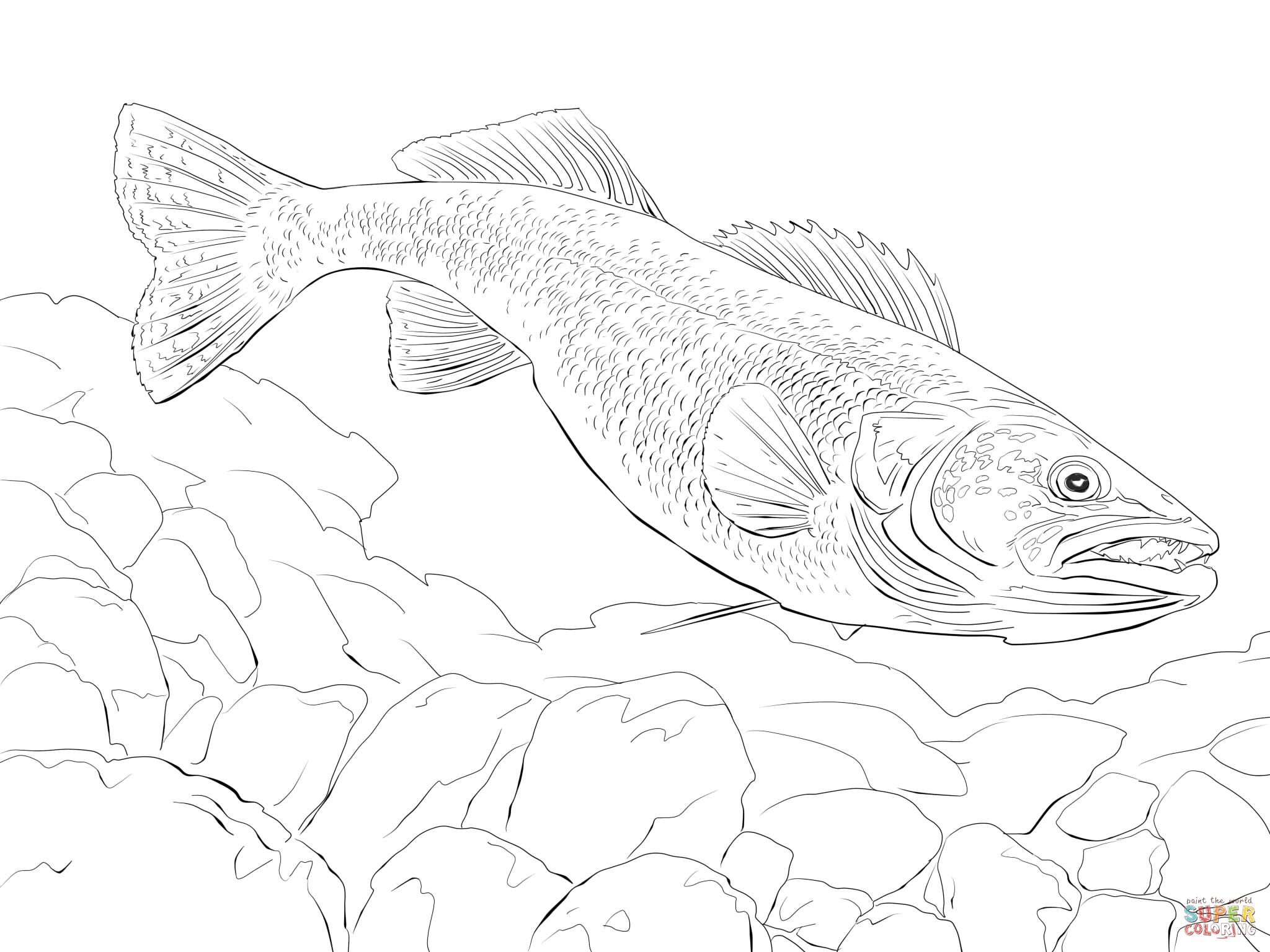 2048x1536 Walleye Fish Coloring Page.jpg Wood Projects